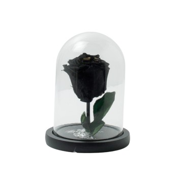 Beauty And The Beast Black Rose Small Campana